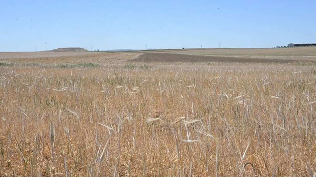 Meteoroloji'den korkutan Haziran raporu