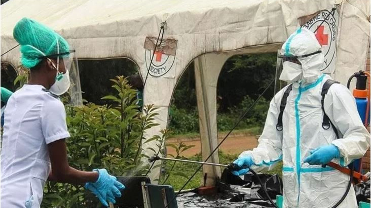 Afrika'da kritik vaka artışı devam ediyor