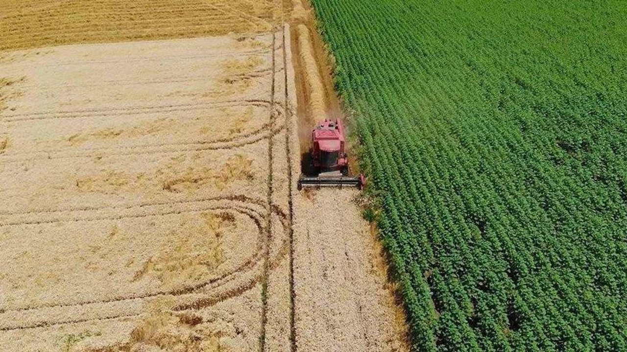 Son 1 yılda Ekonomik çöküş yaşayan 46 bin çiftçi topraklarını terk etti