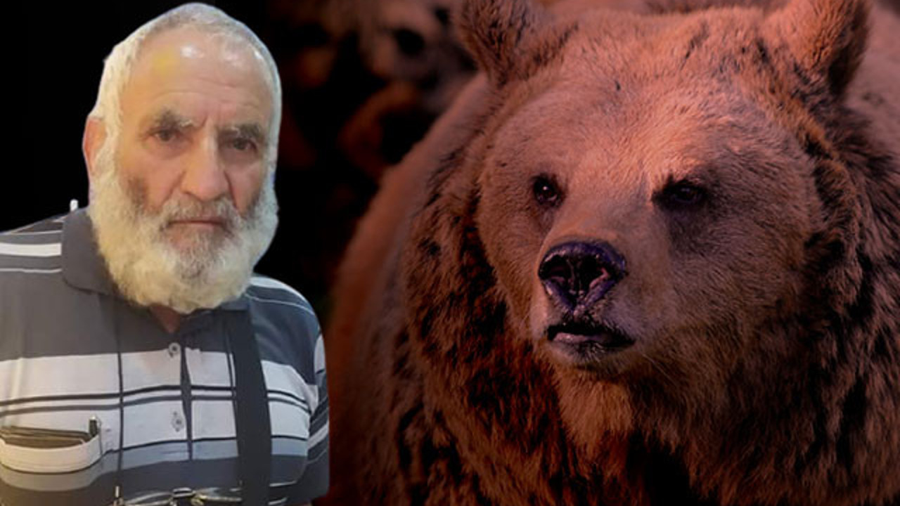 Yaşlı adamın ölümünde sır perdesi aralandı