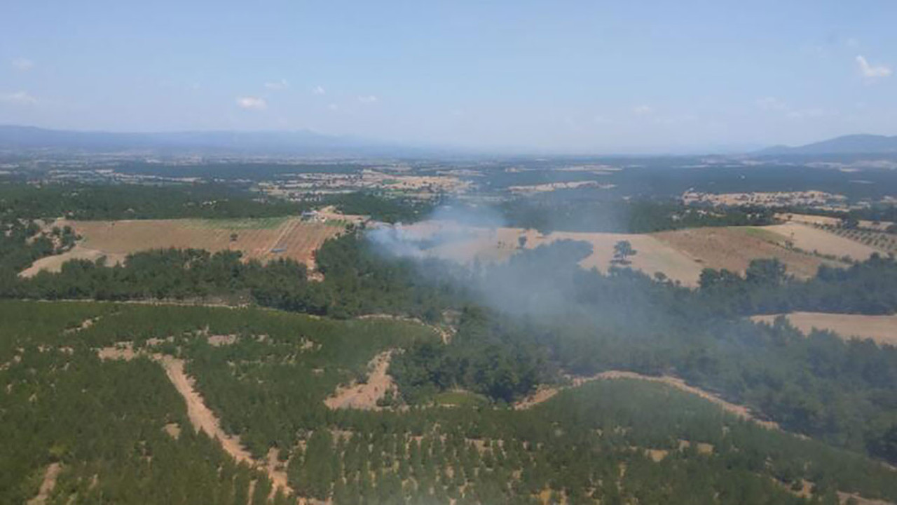 Çanakkale'de orman yangını