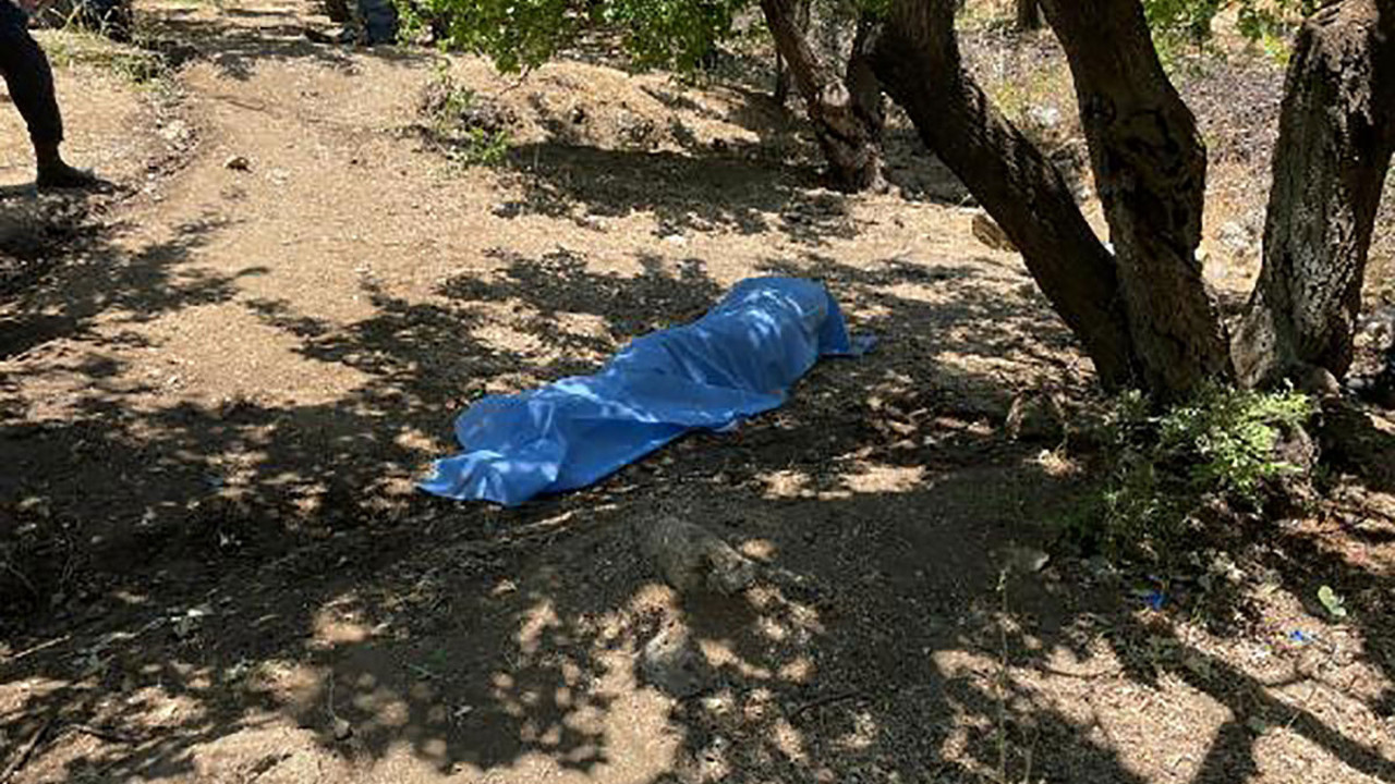 Kayısı toplamaya diye çıktı ölü bulundu