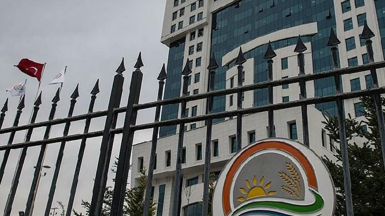 Demet Sağıroğlu kendisini hedef alan Hilal Kaplan’a yanıt verdi