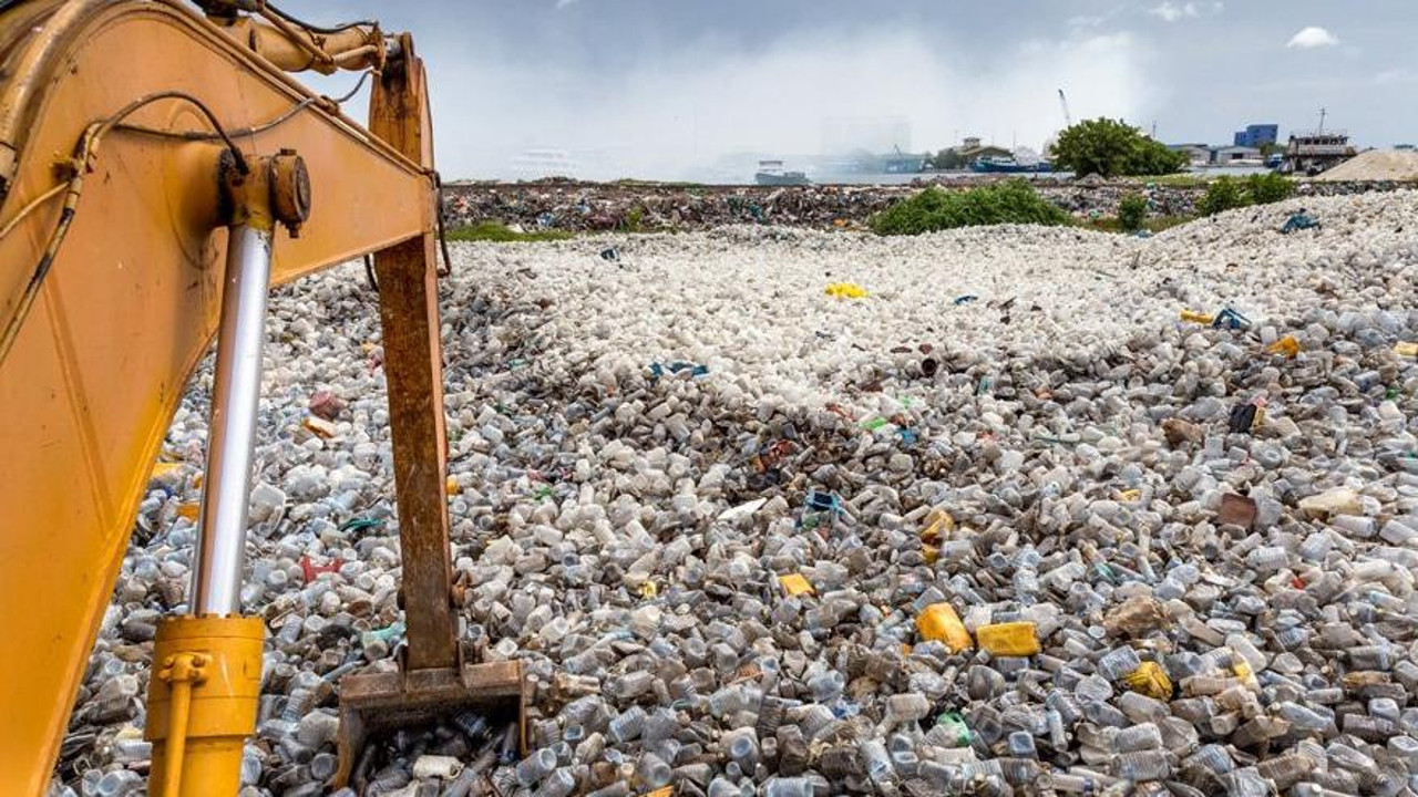 Yeni rant kapısı çöp. Yasak kaldırıldı ithalatı serbest