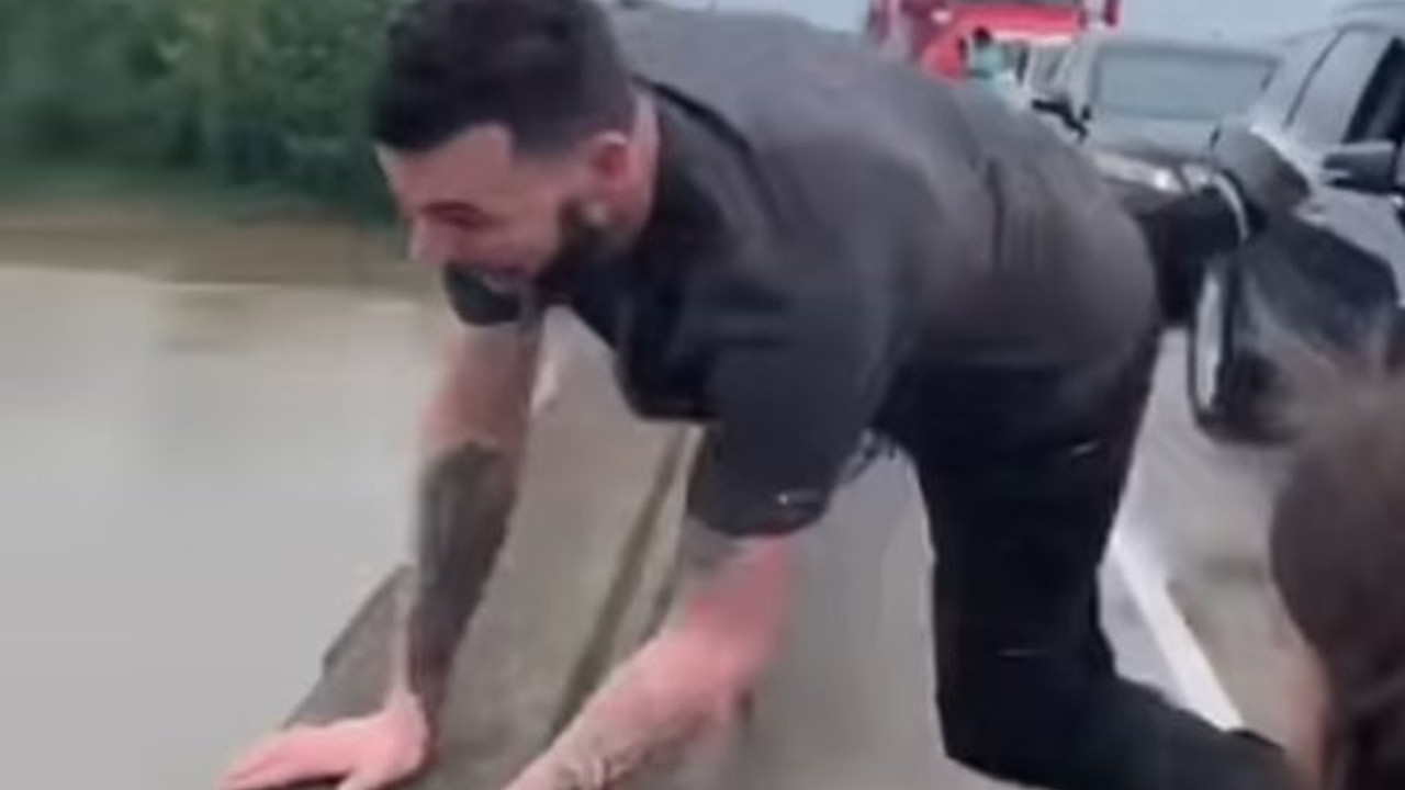 Metrelerce yüksekten timsah dolu nehre atladı