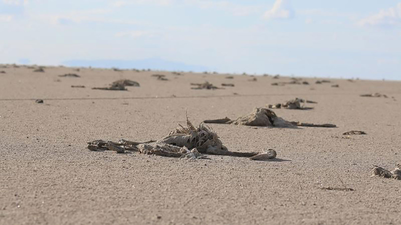 Anketlerdeki son durum darmadağın oldu. Bunu gören herkes gerçeği anlayıp oyunu değiştirdi