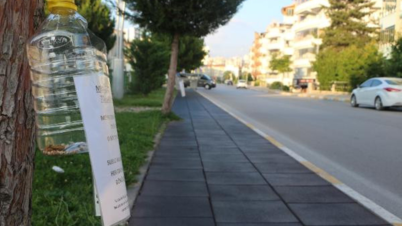 Meyve çekirdekleri çöp olmasın farkındalığı başlattı