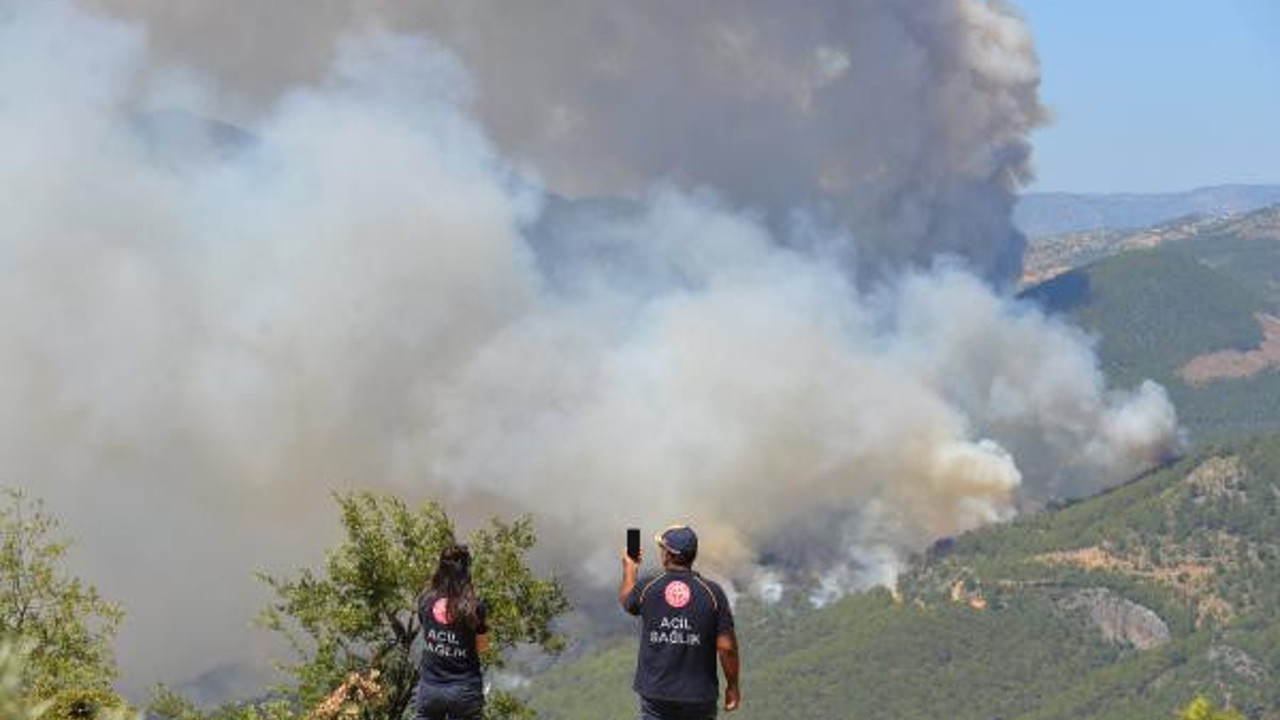 2 yangında 3500 hektar orman kül oldu