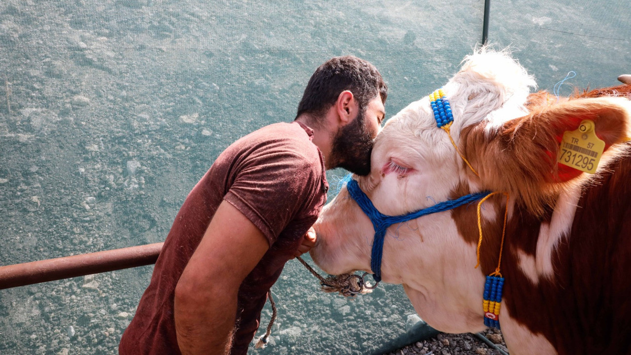 Kesecekler benim Kral'ımı diyerek sattı. Mutluluğunun sebebini böyle anlattı