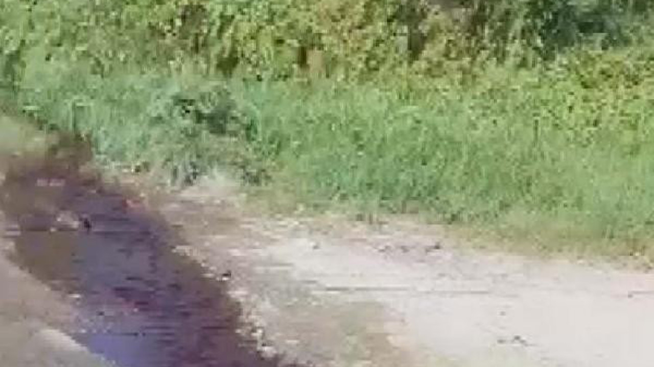 Derelerden baraja aktı