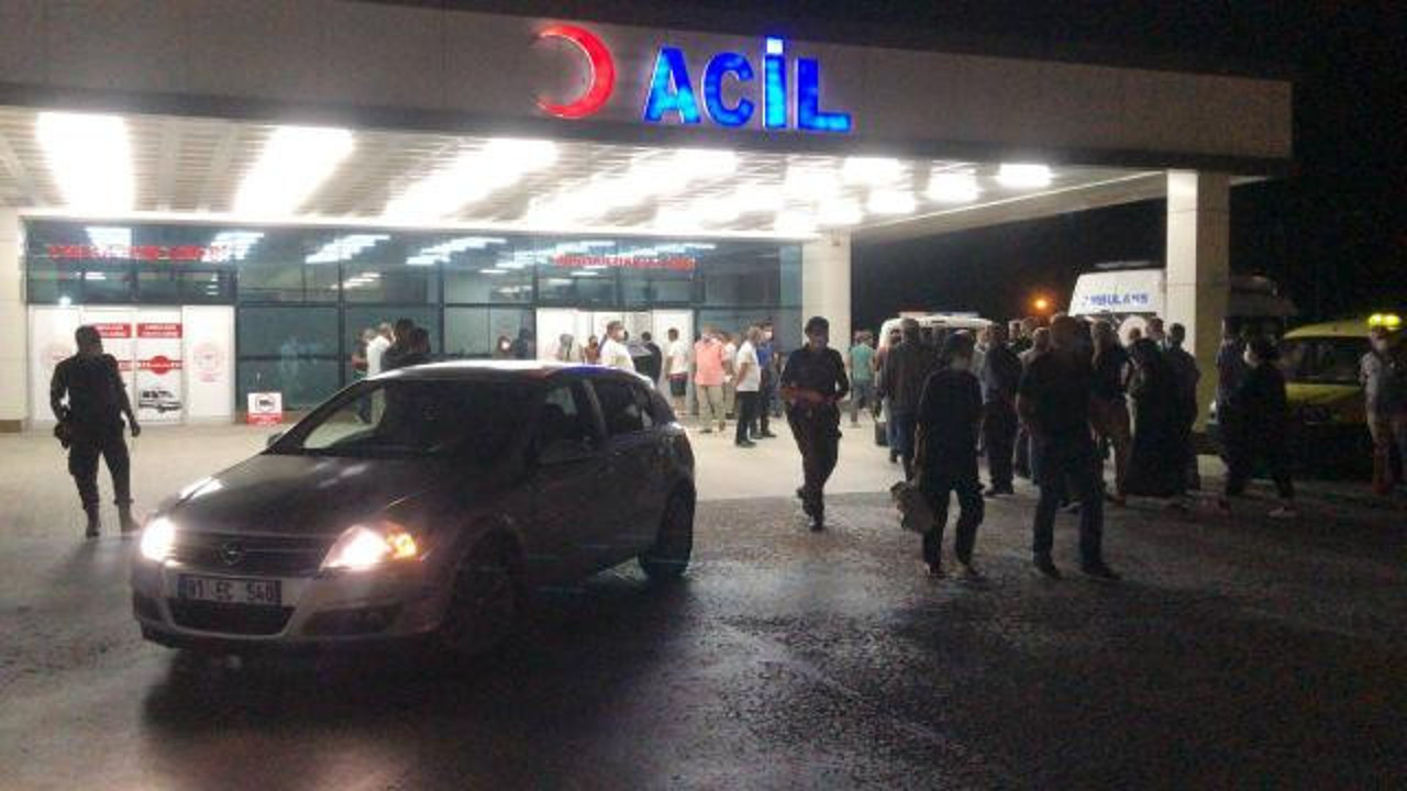 Arazi kavgasında 2 kardeşini öldürdü