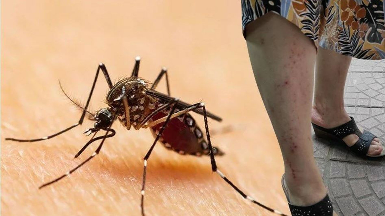 Sel felaketinin ardından Karadeniz'de alarm verildi