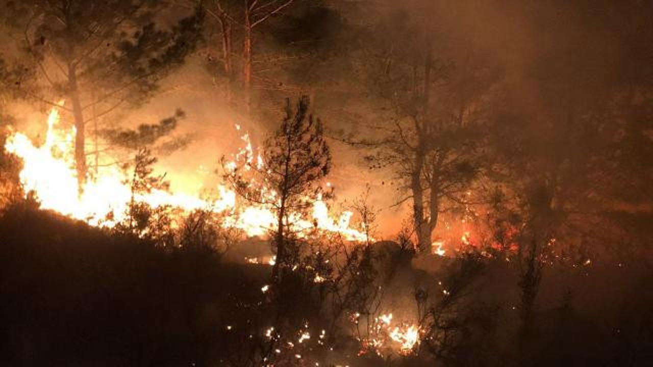 Çanakkale'de yangın: 15 dönümlük alan kül oldu
