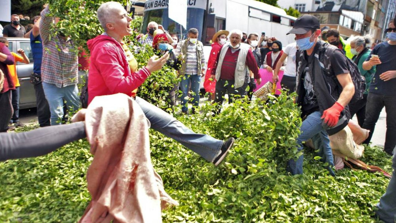 CHP'li Barut'tan 'Çaykur' tepkisi: Karadenizlinin çığlığını duyun