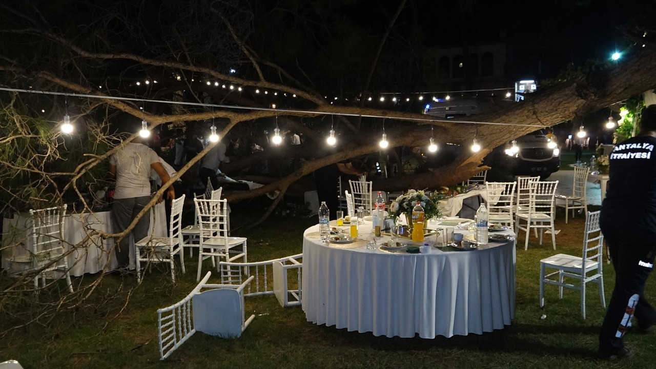 Antalya'da kır düğününde 'ağaç' devrildi: 2'si ağır 10 yaralı