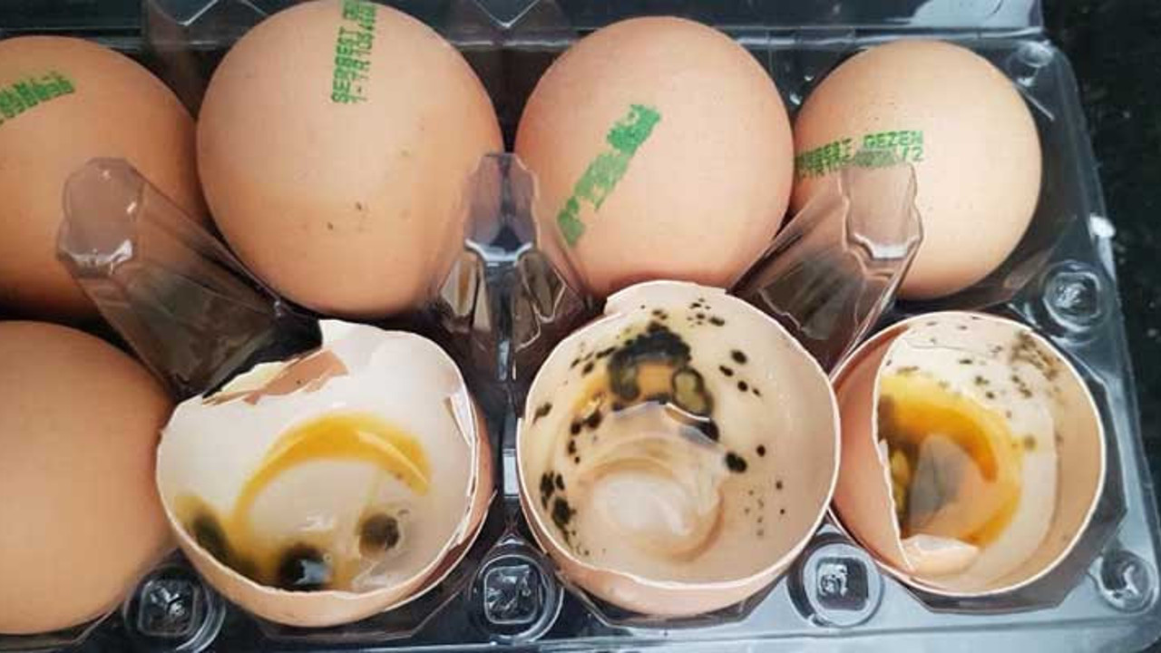 Yumurta tüketirken dikkat. 'Çünkü dikkat eden bir kurum yok'