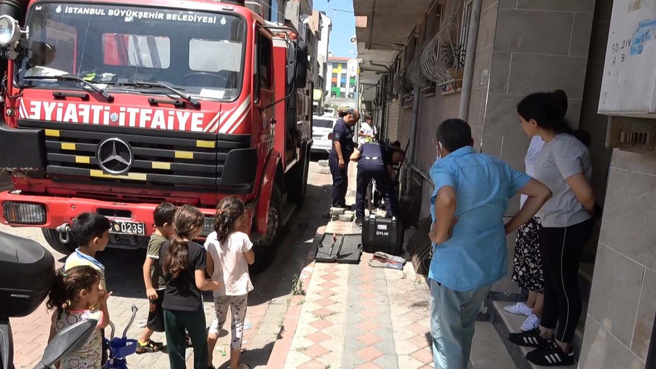 Sultangazi'de yılan paniği