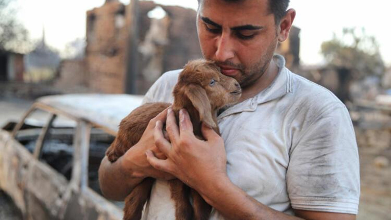 Antalya'da alevlerin içinden mucize doğdu