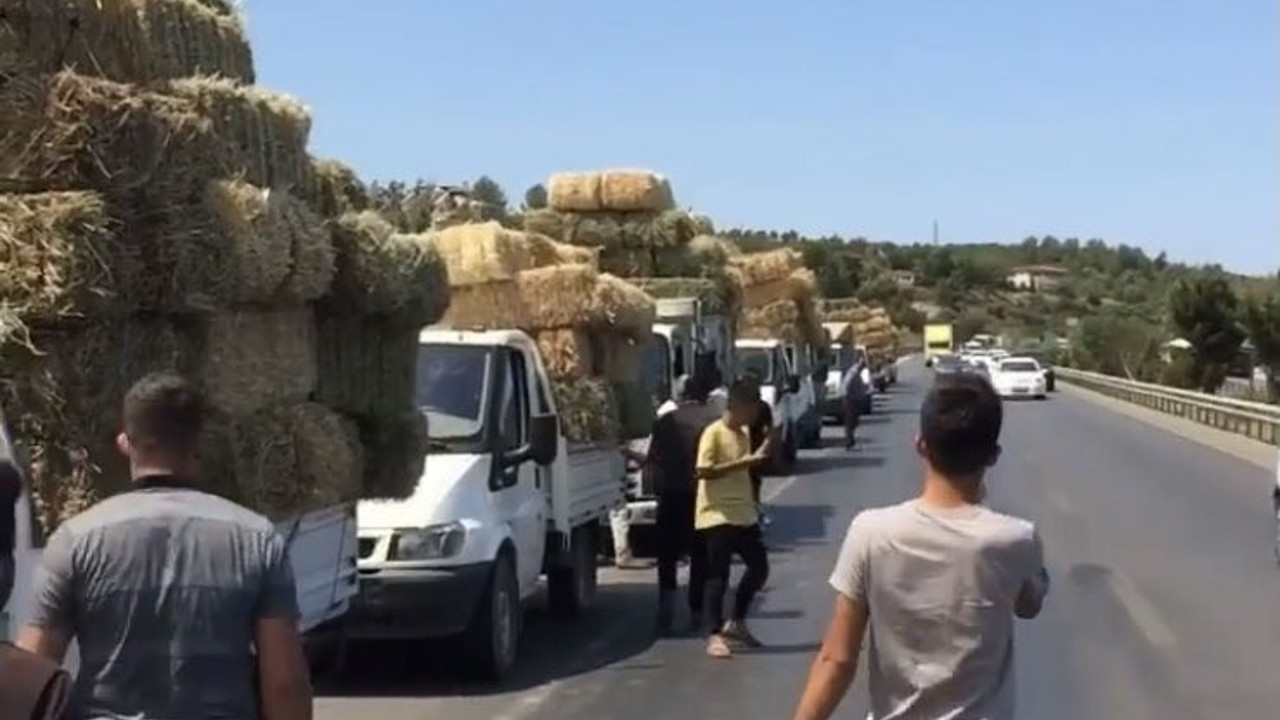 Manavgat'ta aç kalan hayvanlara böyle saman taşıdılar