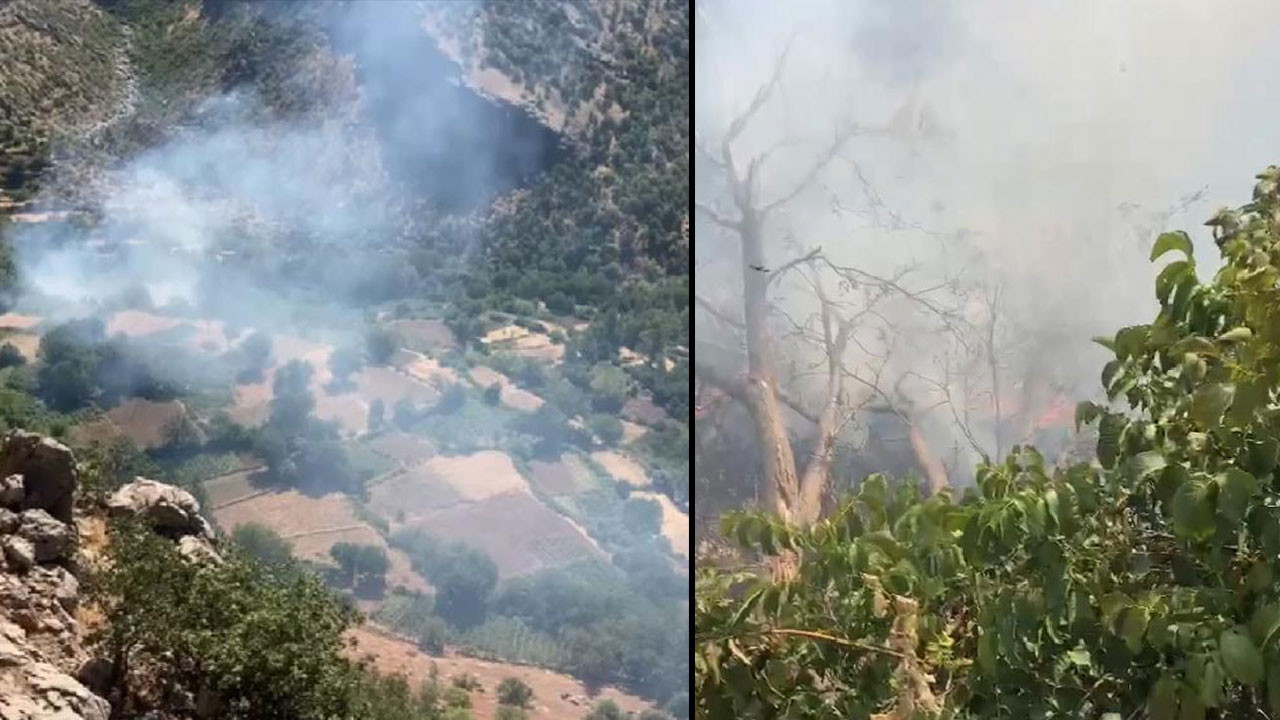 Bir orman yangını da Elazığ'da çıktı
