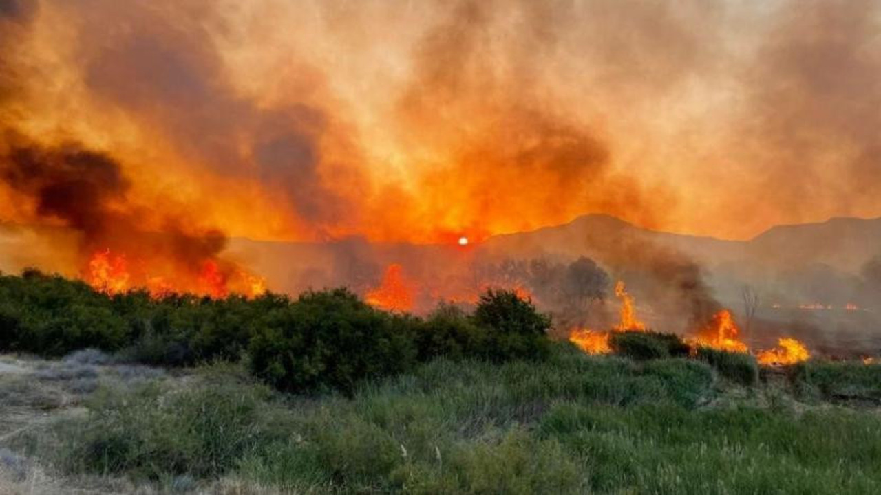Ankara Nallıhan Kuş Cenneti'nden alevler yükseldi