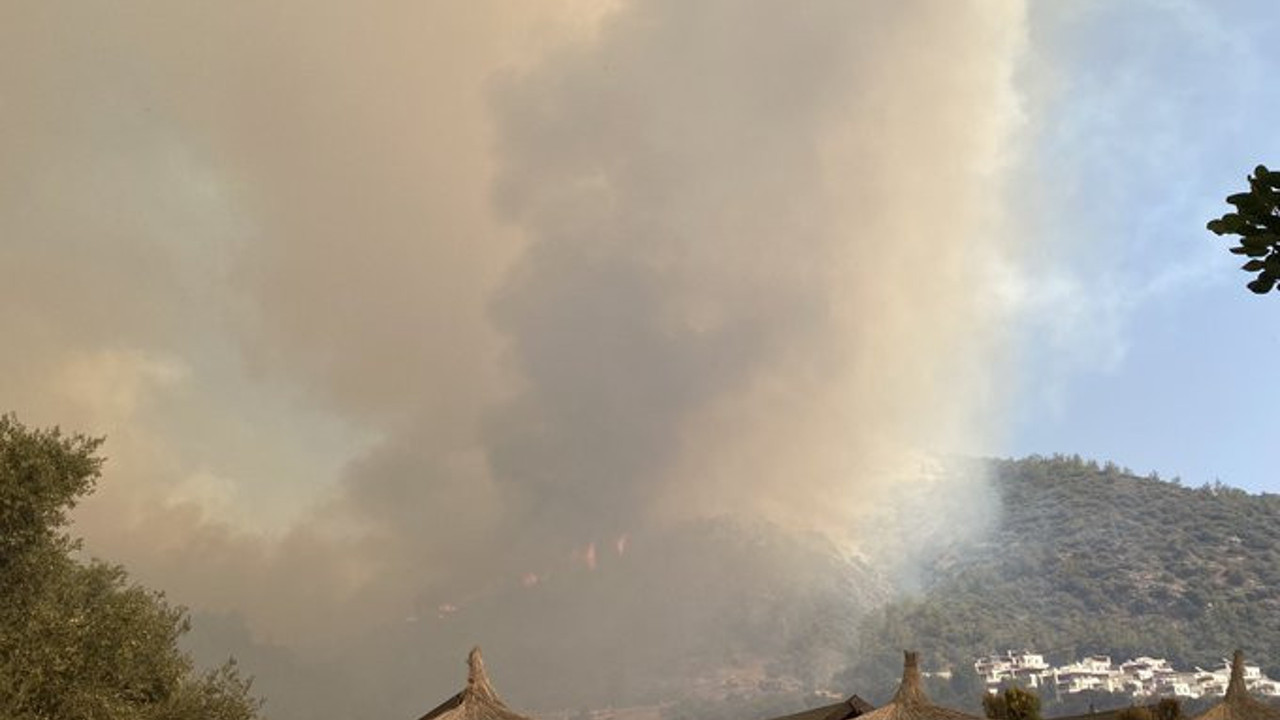 Milas'ta son durum: Bitti denen yangının geldiği hale bakın