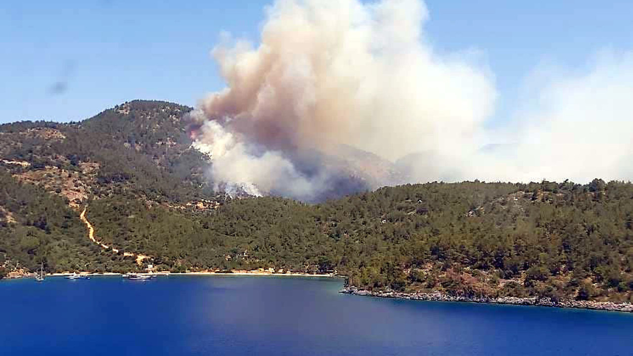 Yanan yerler satışa çıkarıldı iddiası! Muğla'da neler oluyor bu ilanlar da neyin nesi?