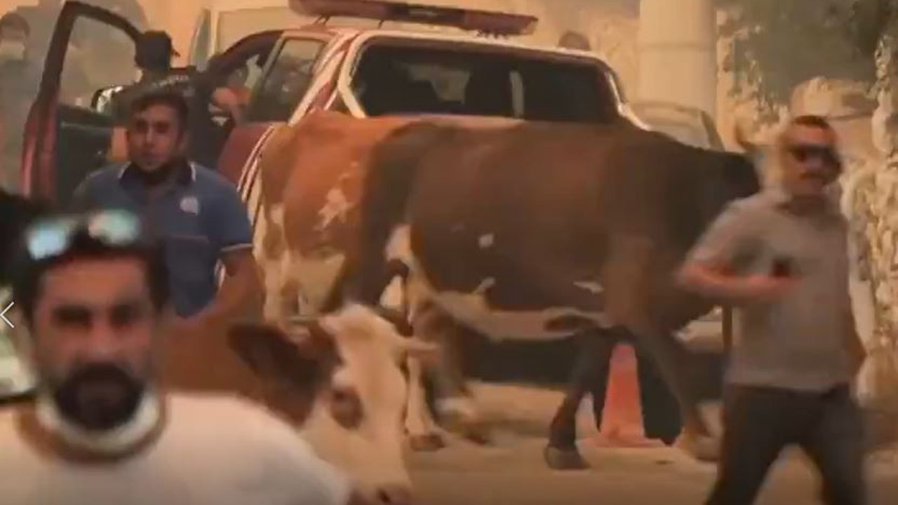 Kanal sahipleri özel hatla aranıp tehdit edildi iddiası! İşte televizyonların yayınlamadığı görüntüler...