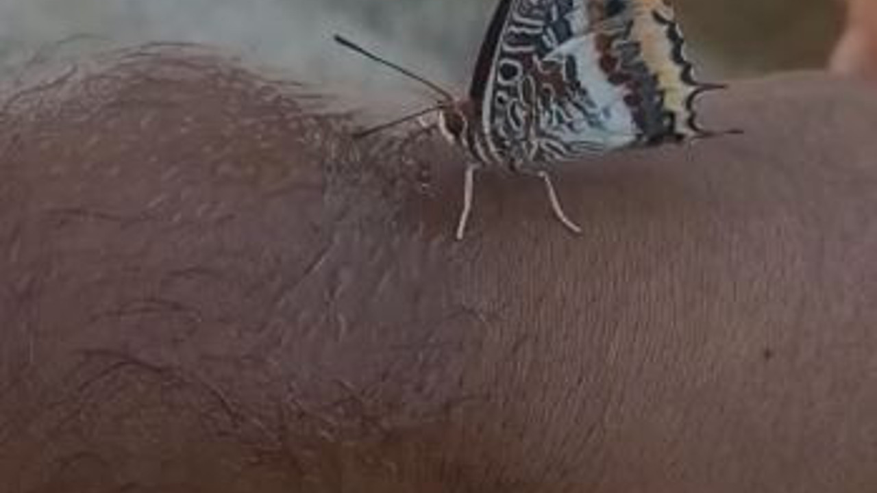 İbret, dehşet, hayret, kızgınlık ve acıyla izleyeceksiniz