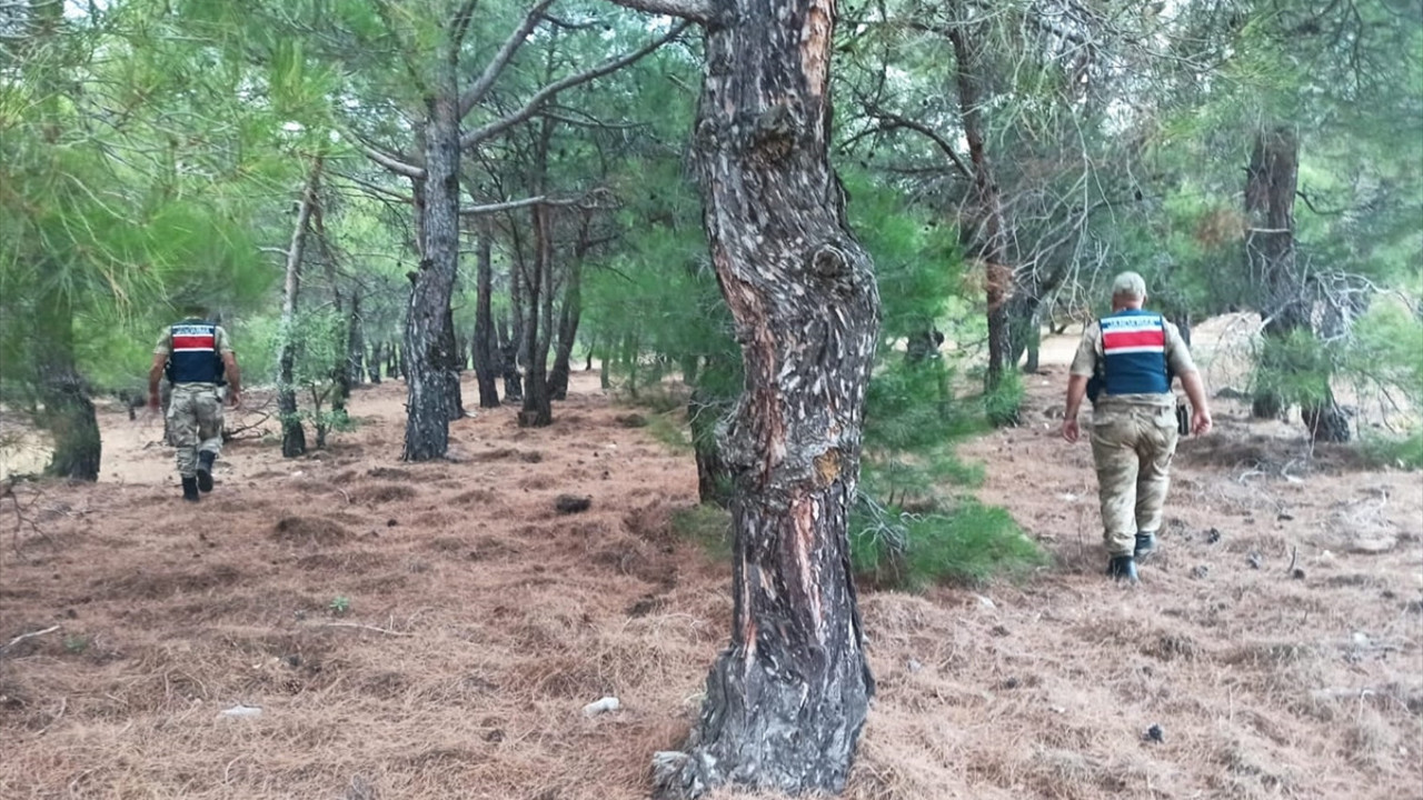 Malatya'da ormanlık alanlarda mola ve piknik yasağı