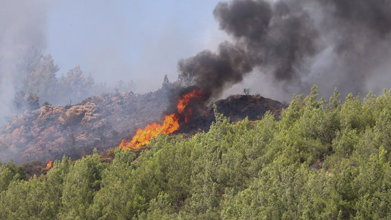 Aydın Valisi'nden sabotaj açıklaması