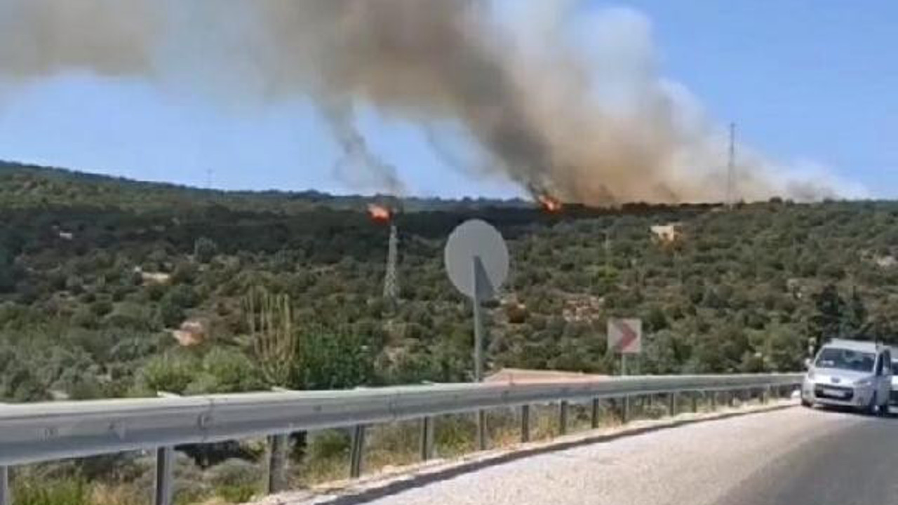 Karaburun'da makilik yangını