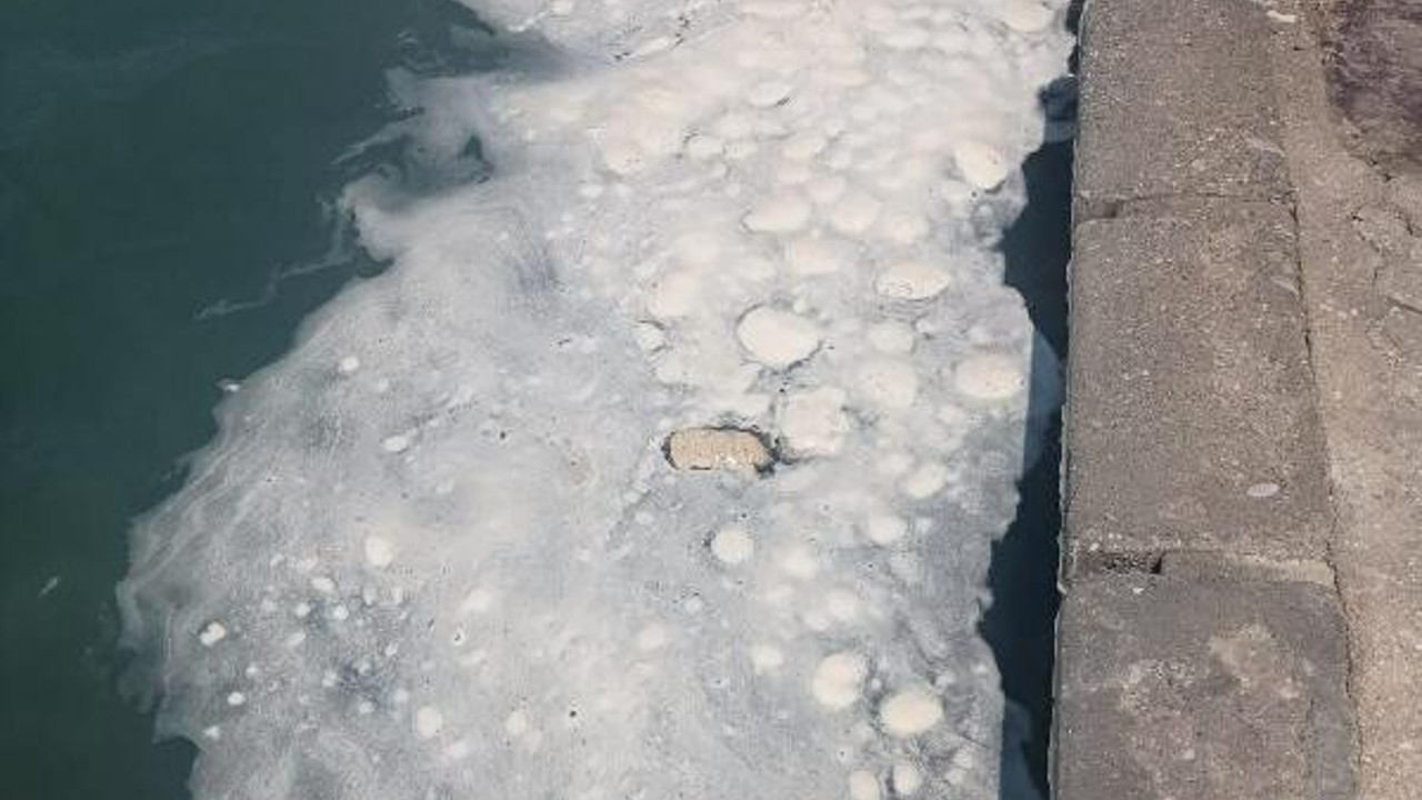 Datça'da müsilaj alarmı