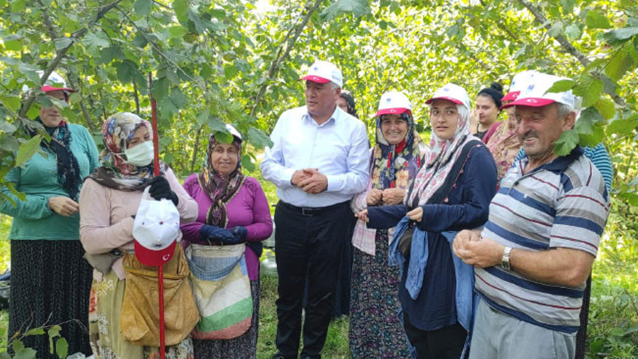 İYİ Partili Örs: Fındık harmanda, fiyat için ne bekleniyor?