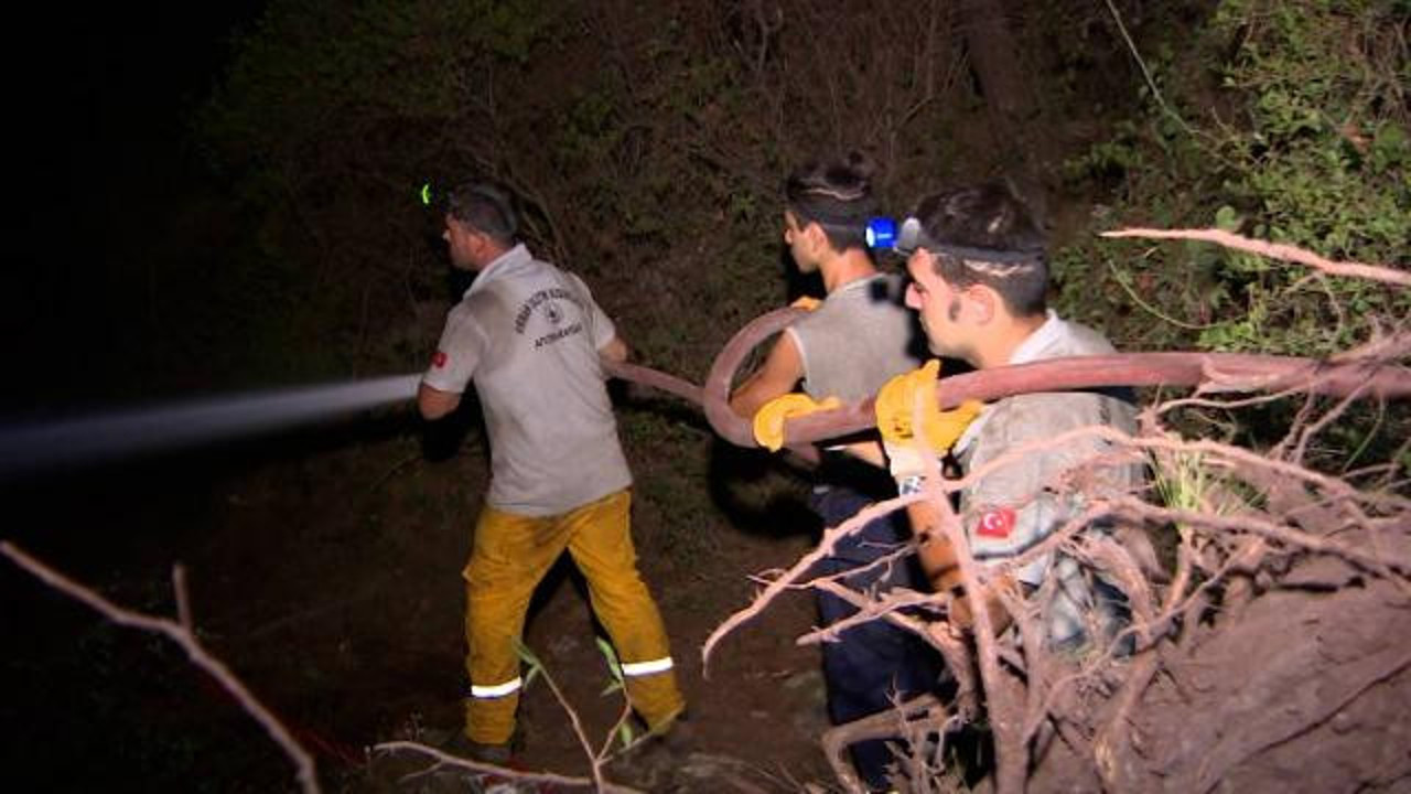 Ula’da çıkan orman yangını söndürüldü