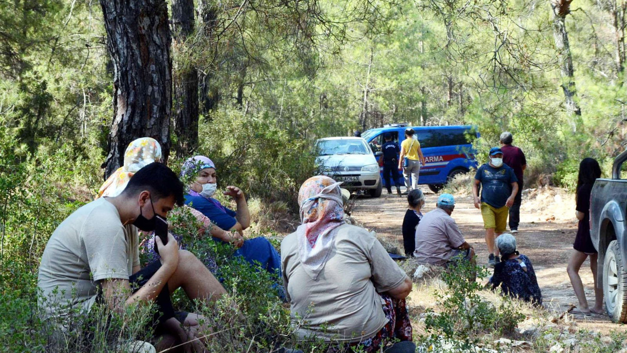 Akbelen Ormanları’nda köylüler ve çevreciler kazandı: Mahkemeden yürütmeyi durdurma kararı