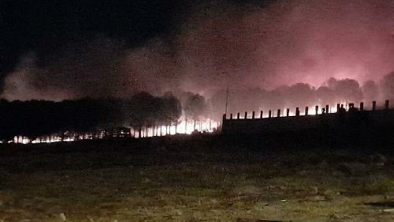 İzmir’de orman yangını (13 Ağustos 2021)