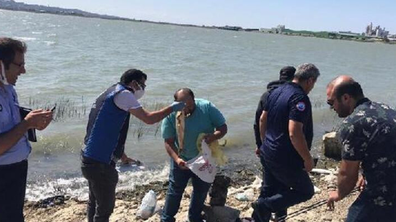 Kaçak avlanan 1 ton balık göle bırakıldı