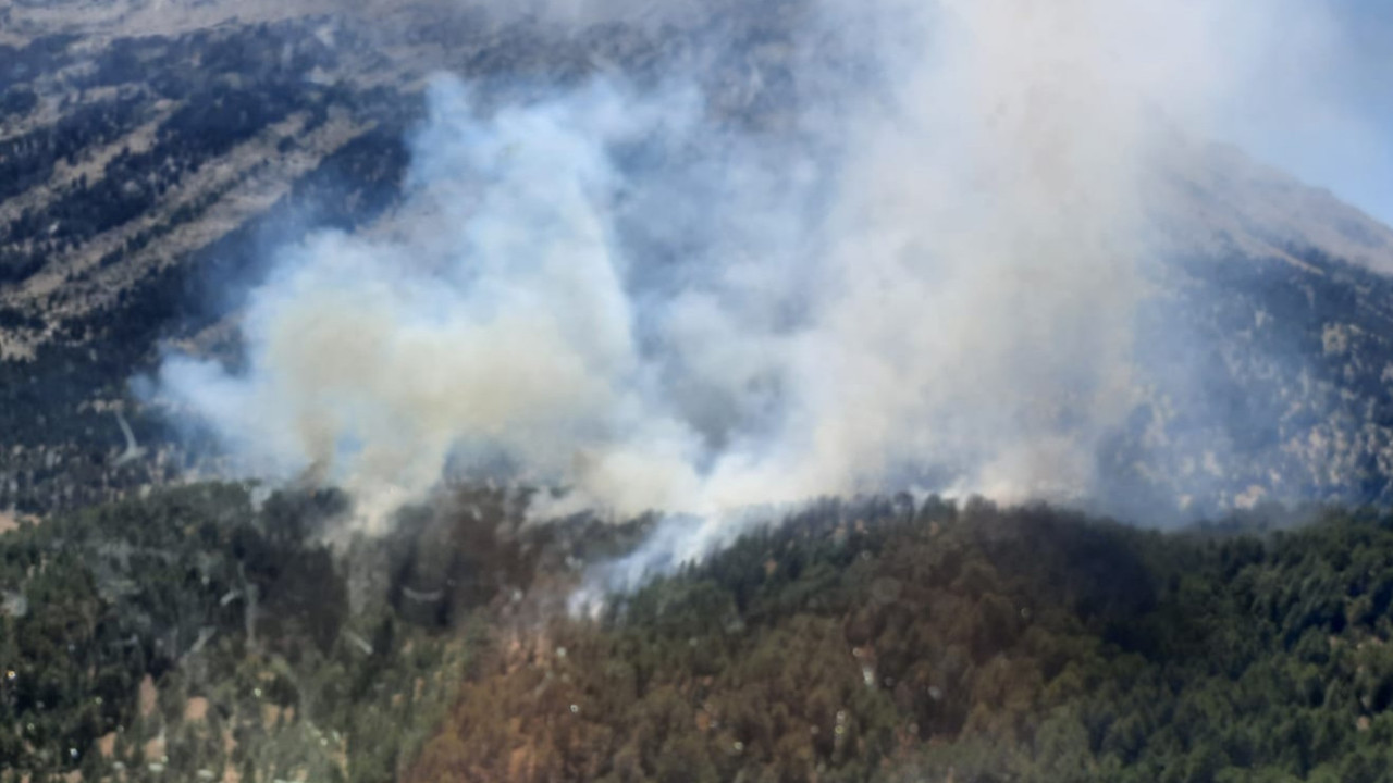 Antalya'da orman yangını