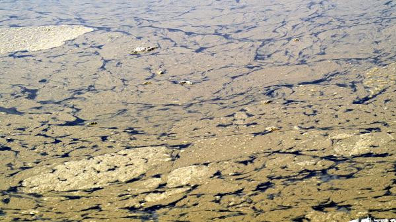 Burdur Gölü'nde suyun rengi sarıya döndü