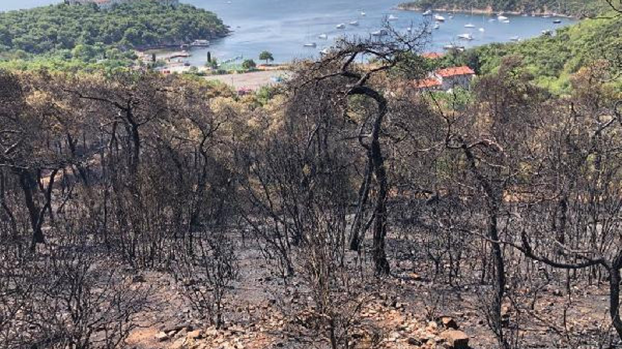 Heybeliada'da soğutma çalışmaları devam ediyor