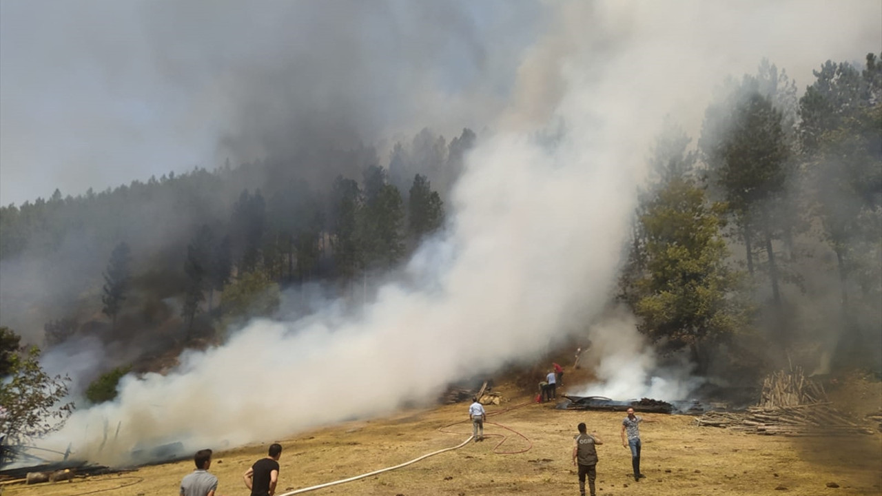 Balıkesir'de orman yangını