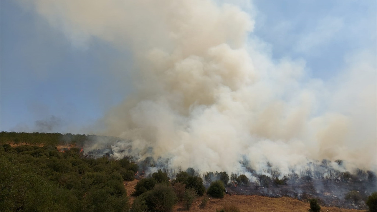 Manisa'da makilik alanda yangın