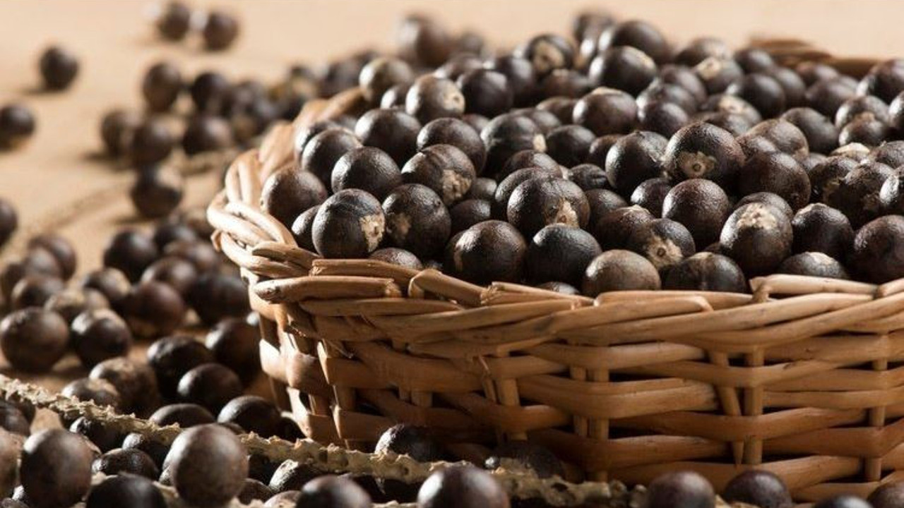 Kanser hücrelerini öldürüyor fazla kiloları mum gibi eriyor