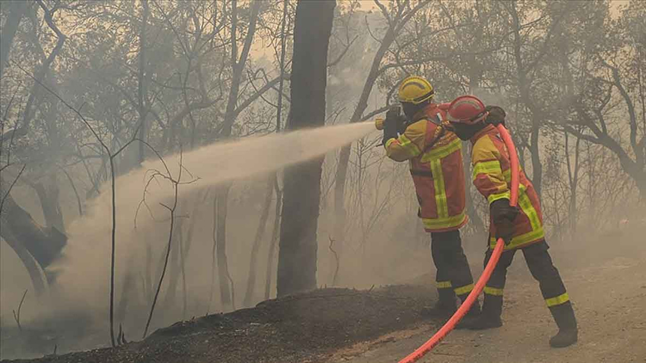 Fransa'daki yangın 11'inci günde söndürüldü
