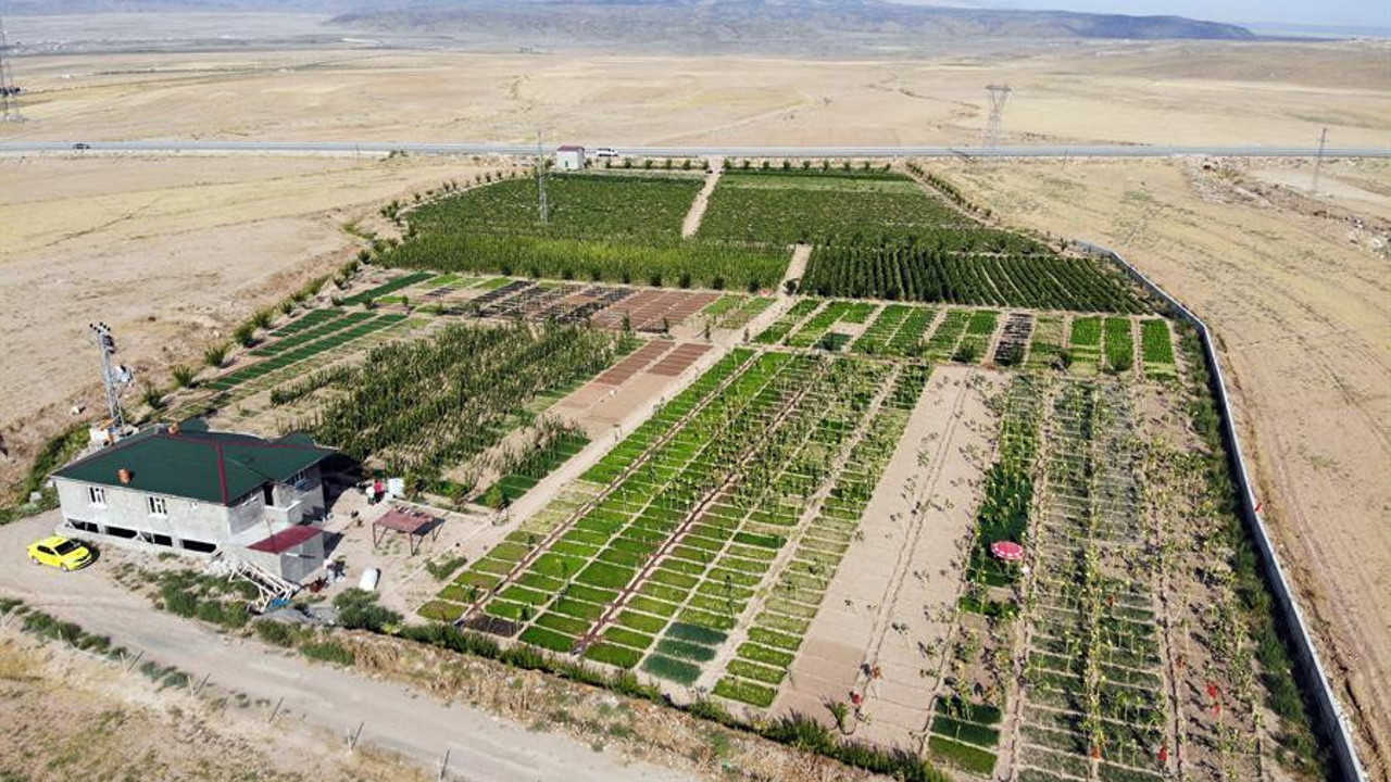 Ağrı'da çorak araziyi 2 yılda vahaya çevirdiler