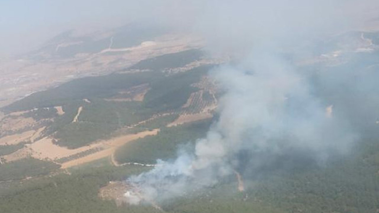 Foça'da orman yangını