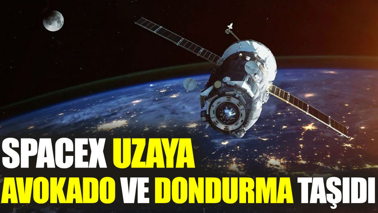 SpaceX uzaya avokado ve dondurma taşıdı
