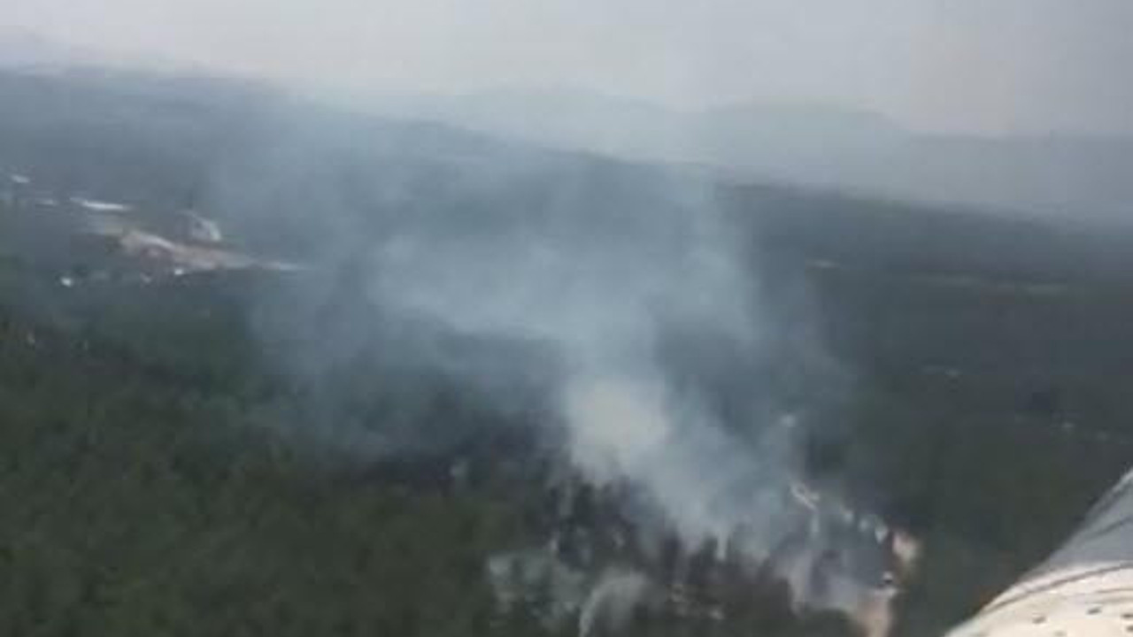 Manisa'da orman yangını