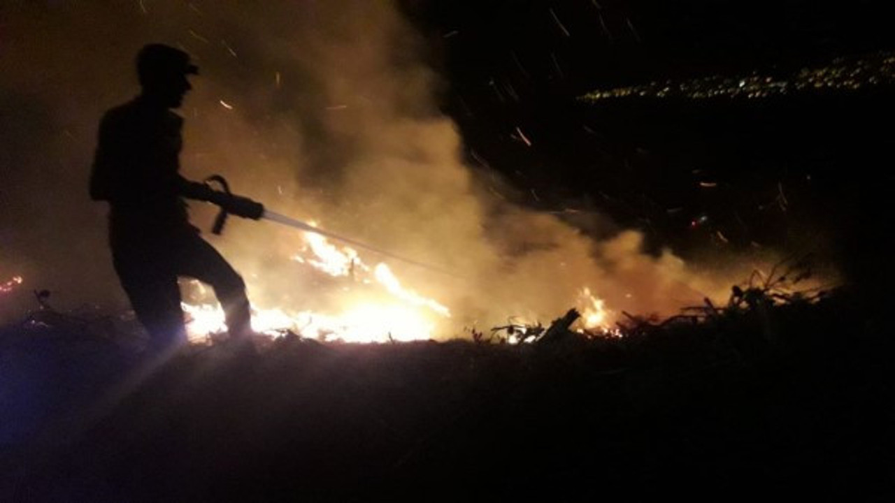 Hatay’ın Erzin ilçesinde ormanlık alanda çıkan yangın kontrol altına alındı. (13 Eylül 2021)